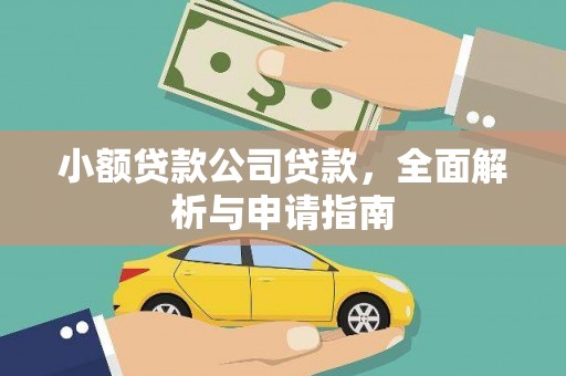 富里小额贷款公司贷款，全面解析与申请指南