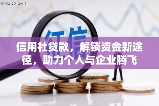 富里信用社贷款，解锁资金新途径，助力个人与企业腾飞