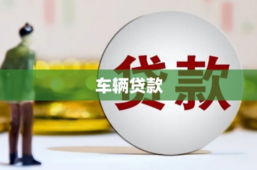 富里车辆贷款