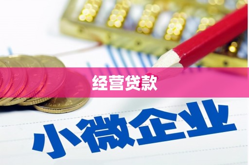 富里经营贷款