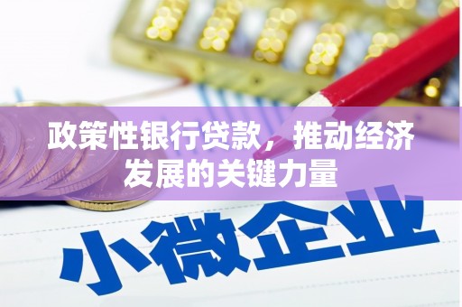 富里政策性银行贷款，推动经济发展的关键力量