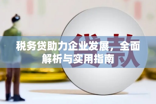 富里税务贷助力企业发展，全面解析与实用指南