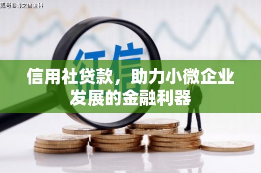 富里信用社贷款，助力小微企业发展的金融利器