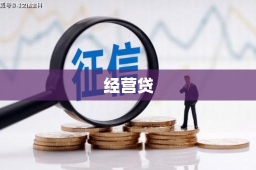 富里经营贷