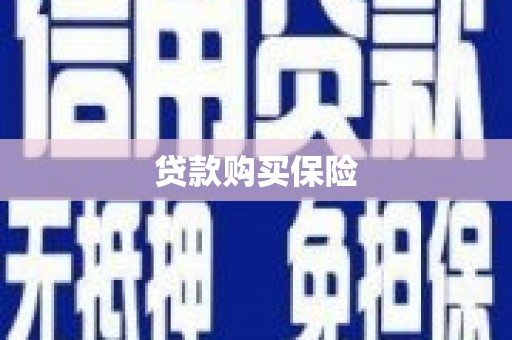 富里贷款购买保险