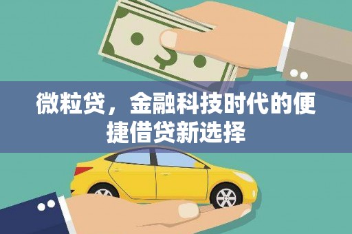 富里微粒贷，金融科技时代的便捷借贷新选择