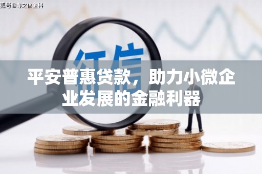 富里平安普惠贷款，助力小微企业发展的金融利器