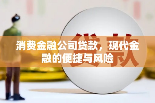 富里消费金融公司贷款，现代金融的便捷与风险
