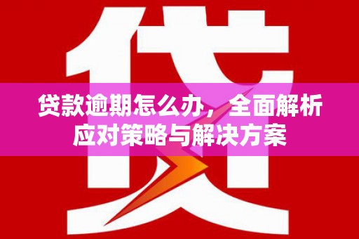 富里贷款逾期怎么办，全面解析应对策略与解决方案
